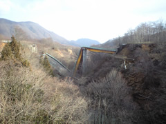 ����20�N�x �i���j���X�ؑg�{�H���͉� �l ��Ấ@�ЊQ���@