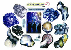 H29.12.3�`4 ��Y�N��Fby�R�` No.4
