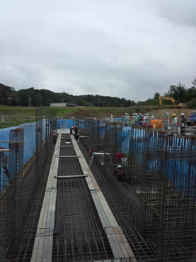 (��)�J�C�n�c���R���V�v�����g���ݍH��