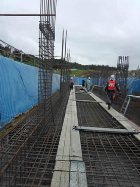 (��)�J�C�n�c���R���V�v�����g���ݍH��