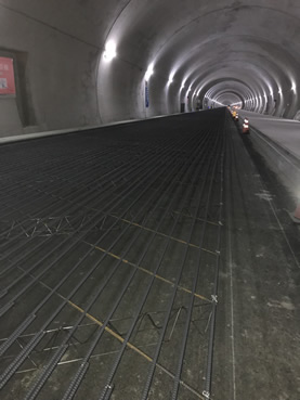 ���X�g���l��(�c�̑�H��)�ܑ��H��