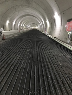 ���X�g���l��(�c�̑�H��)�ܑ��H��