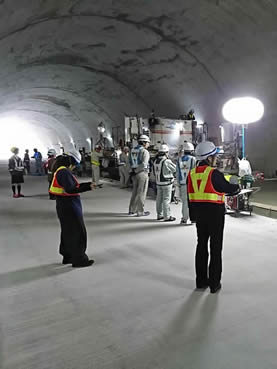 ���X�g���l��(�c�̑�H��)�ܑ��H��