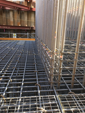 �R�c���������E���т������V�ݍH��