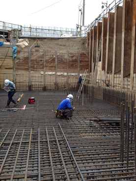 ���E�T���N���̋��V�z�H��