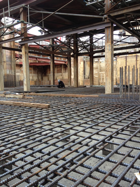 ���E�T���N���̋��V�z�H��