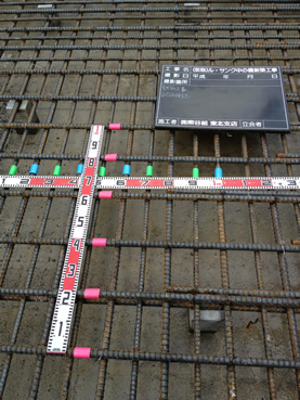 ���E�T���N���̋��V�z�H��