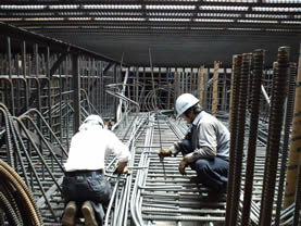 ����342���Ԑ�勴P1���r�H��